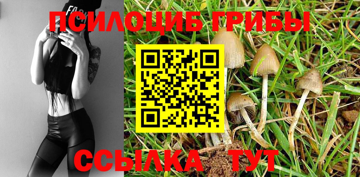 Галлюциногенные грибы Magic Shrooms Обь