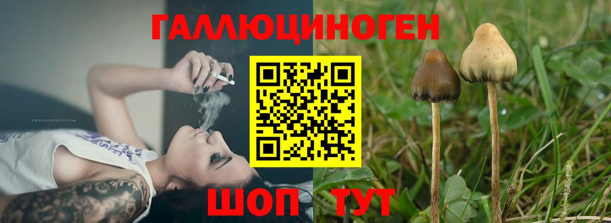 Галлюциногенные грибы мухоморы  Вход с VPN  Обь 